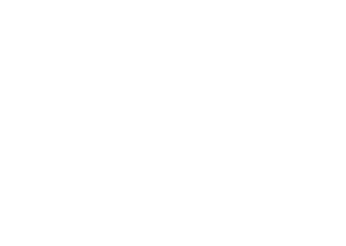 Festival Film Dokumenter