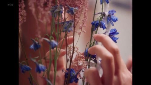 Aku, yang Tak Akan Pernah Memahami Penderitaan Kecantikan