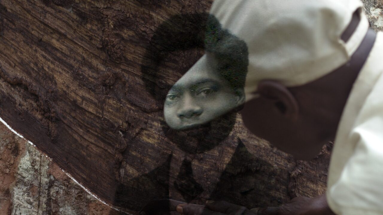 The Tree of Authenticity