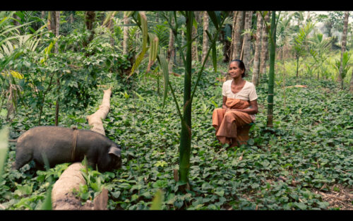 Adilkah untuk Mendaur Makna Simbolisme “Penyihir” Ketika Perburuan Terhadapnya Masih Terjadi?